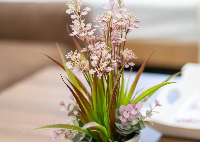 ゲストハウス Rose 4*