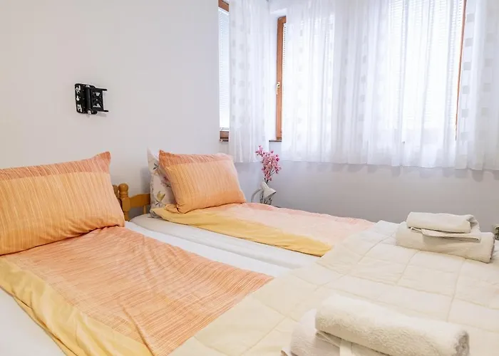 Rose サラエヴォ