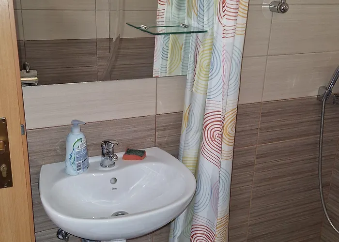 Rose サラエヴォ